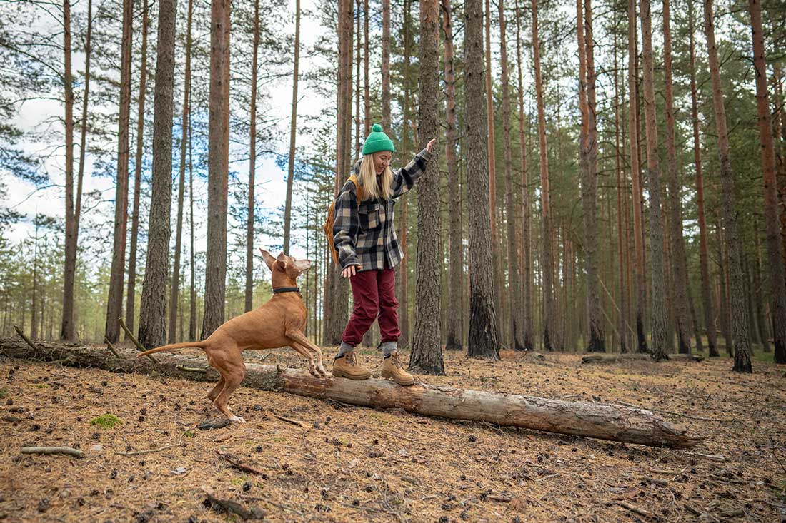 Von Angst und Depression zu seelischer Balance