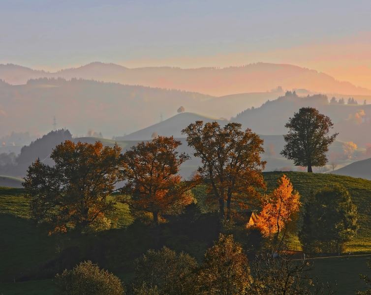 bäume-berglandschaft